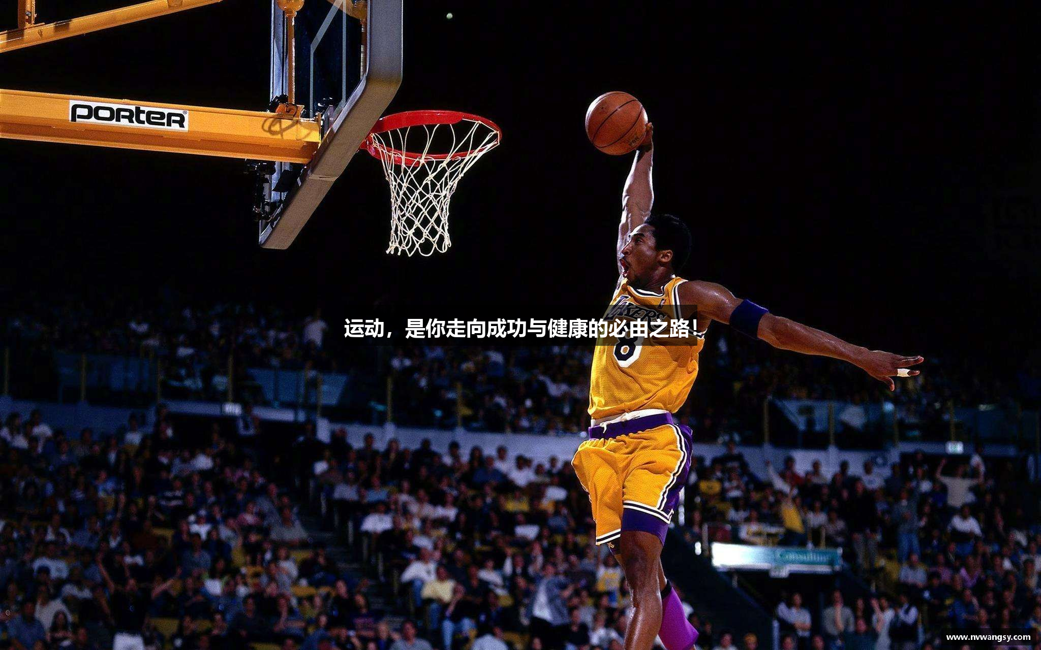  TVT体育官方app下载